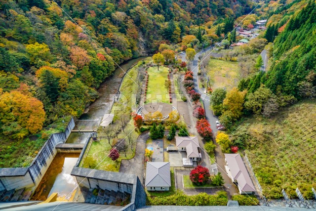 写真のタイトルが入ります