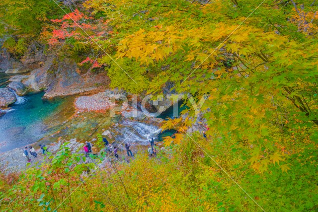 四万の甌穴群と紅葉
