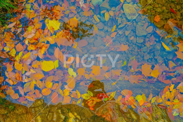 写真のタイトルが入ります