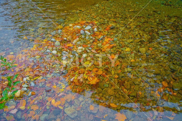 四万の甌穴群と紅葉