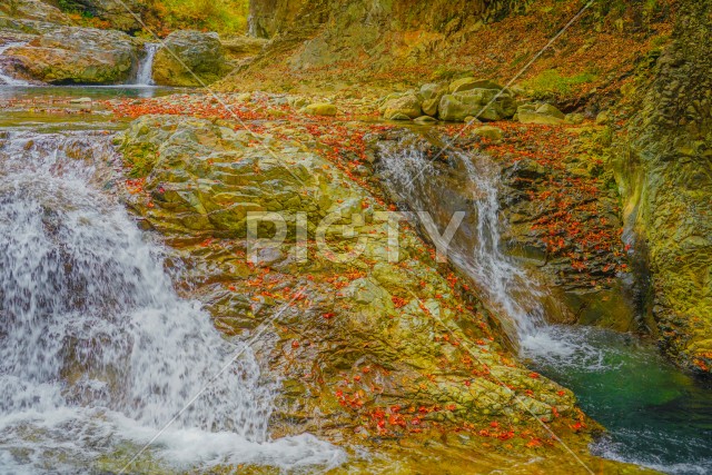四万の甌穴群と紅葉