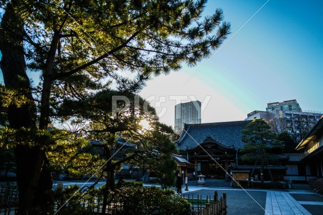 泉岳寺（東京都港区）