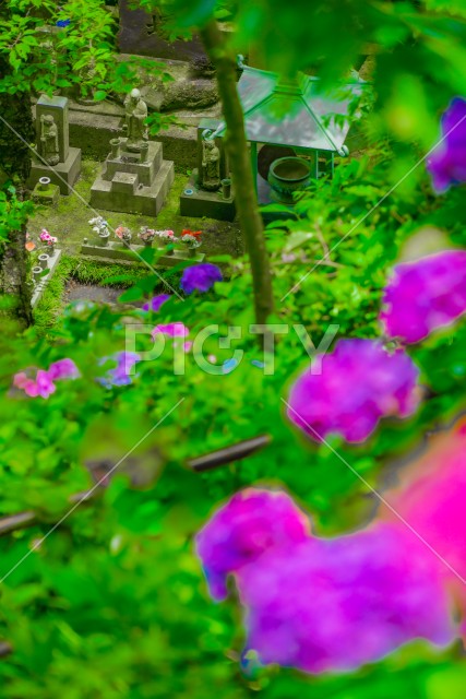 写真のタイトルが入ります