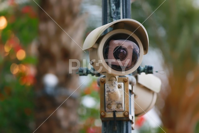 写真のタイトルが入ります