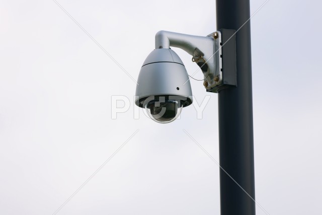 写真のタイトルが入ります