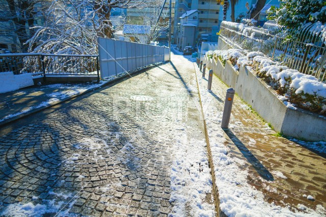雪に包まれる横浜市神奈川区