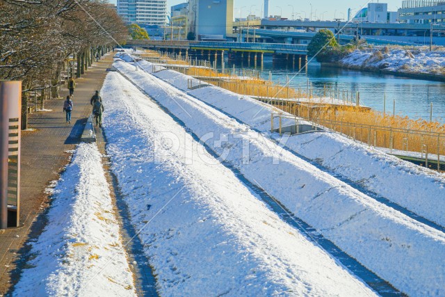 雪に包まれる横浜市神奈川区