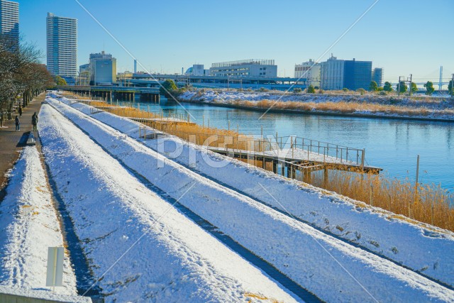 雪に包まれる横浜市神奈川区