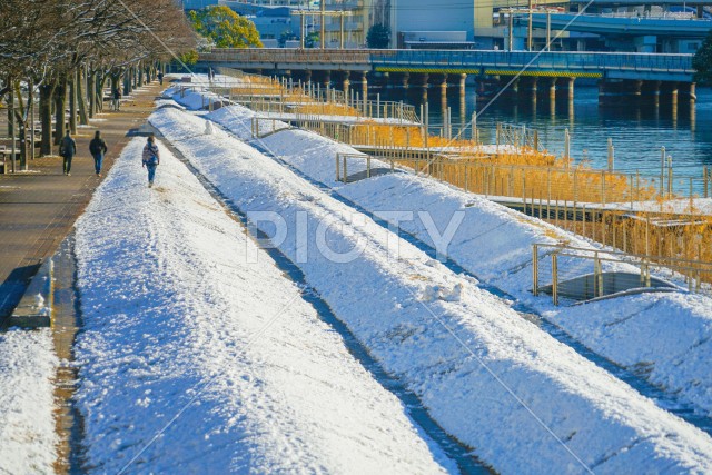 雪に包まれる横浜市神奈川区