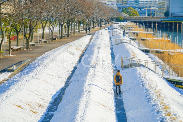 写真のタイトルが入ります