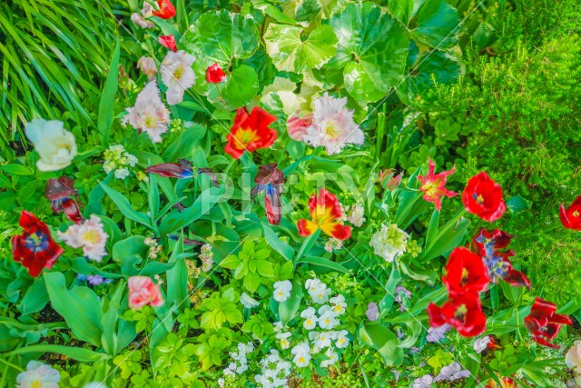 写真のタイトルが入ります