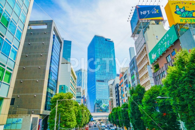 写真のタイトルが入ります