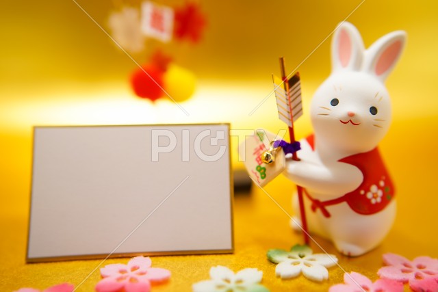 写真のタイトルが入ります