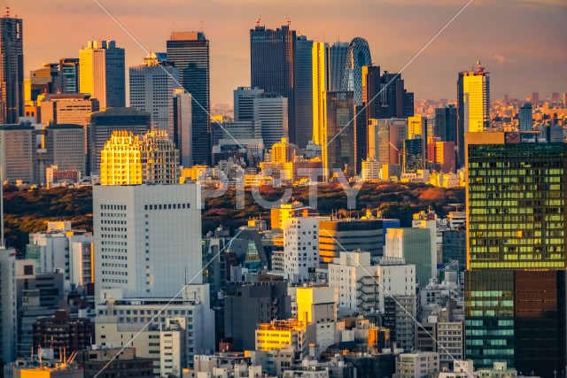 大師橋と青空