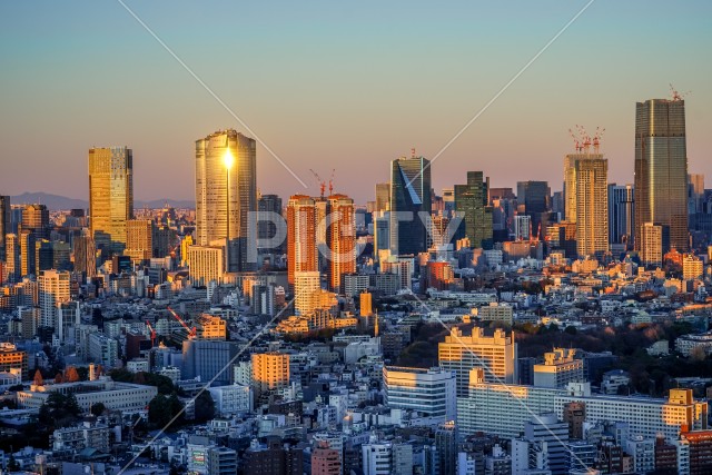 写真のタイトルが入ります
