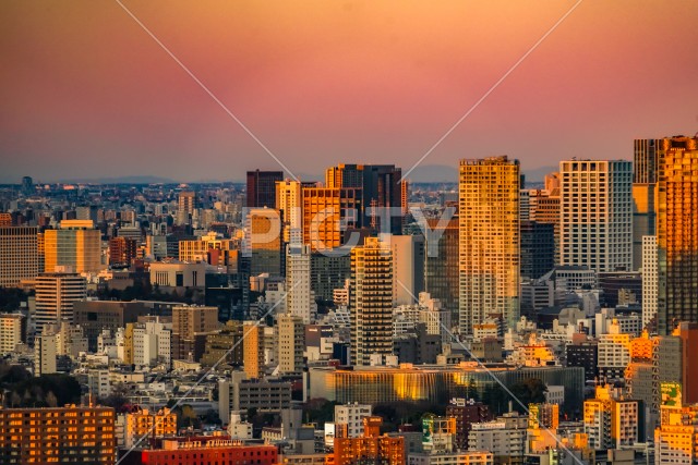 青森の田園風景
