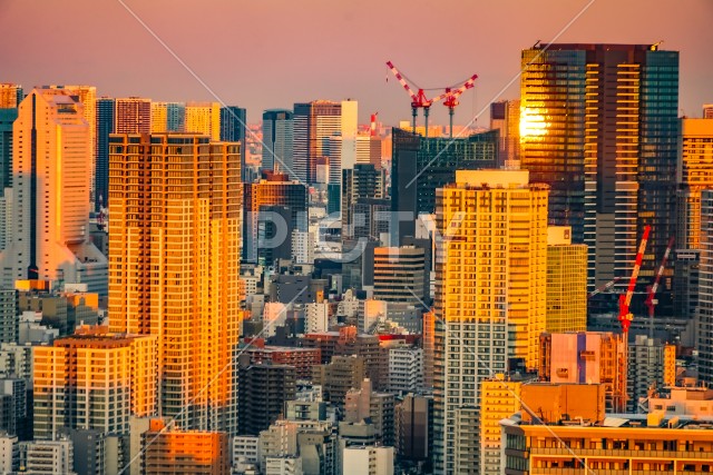 青森の田園風景