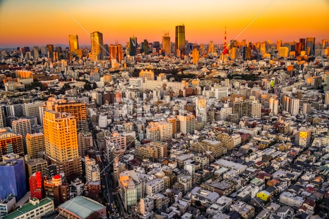 東京都心の街並みと夕景
