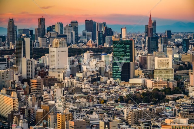 東京都心の街並みと夕景