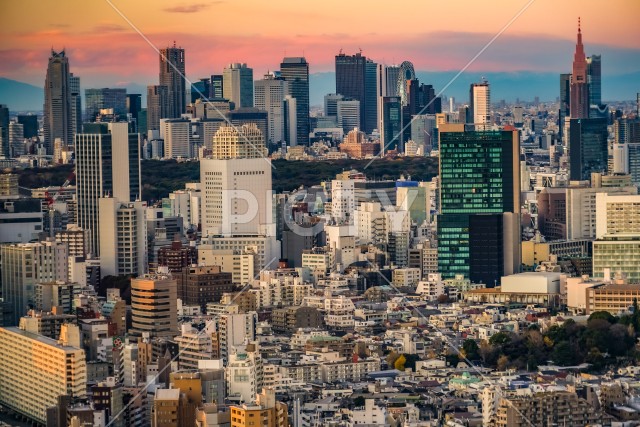 写真のタイトルが入ります