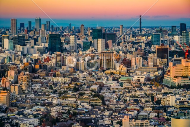 東京都心の街並みと夕景