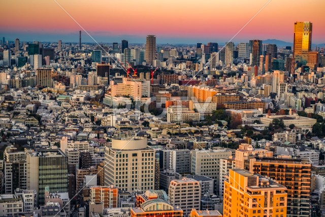 東京都心の街並みと夕景