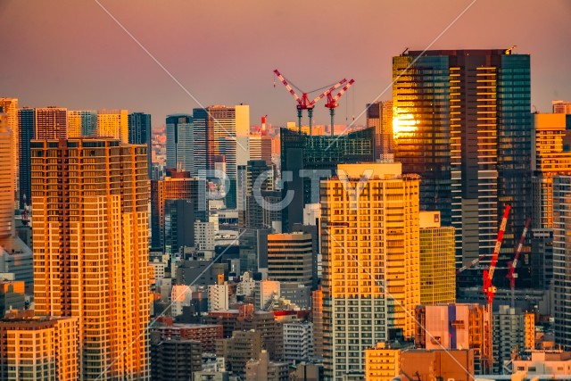 東京都心の街並みと夕景