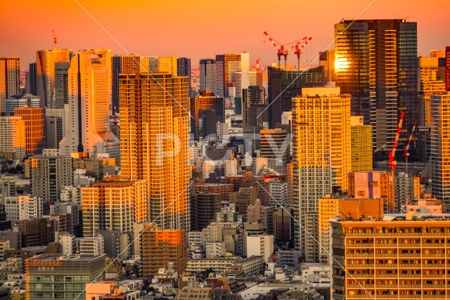 東京都心の街並みと夕景