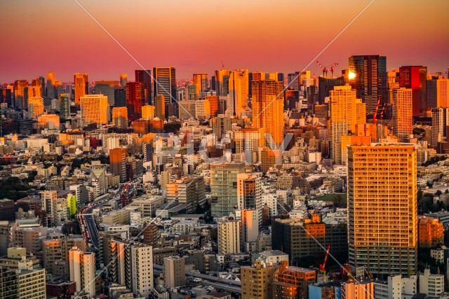 東京都心の街並みと夕景
