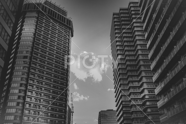 みなとみらいの高層マンション群
