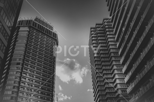 写真のタイトルが入ります