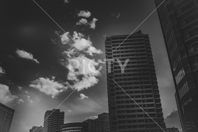写真のタイトルが入ります