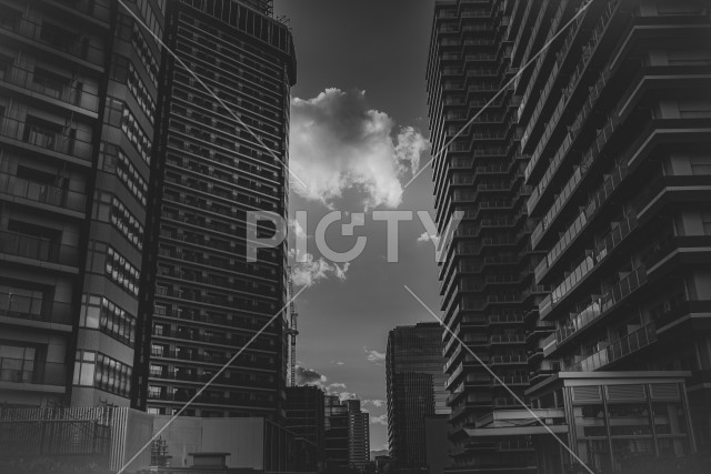 写真のタイトルが入ります