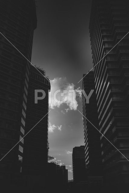 写真のタイトルが入ります