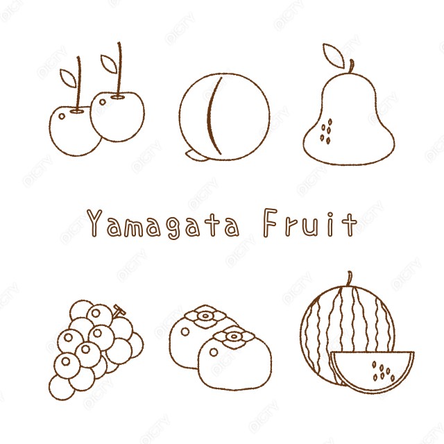 山形の果物セット_線画