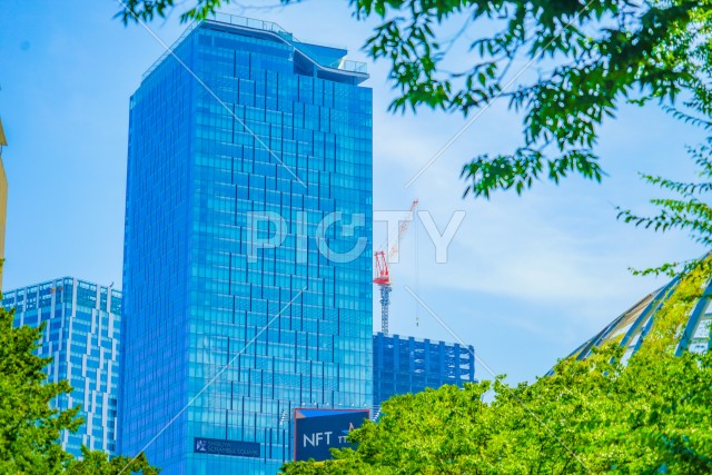 写真のタイトルが入ります