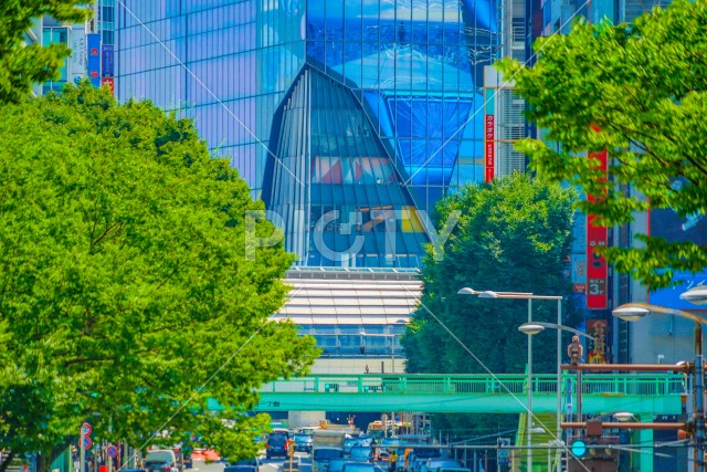 写真のタイトルが入ります