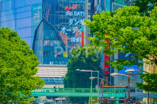 写真のタイトルが入ります