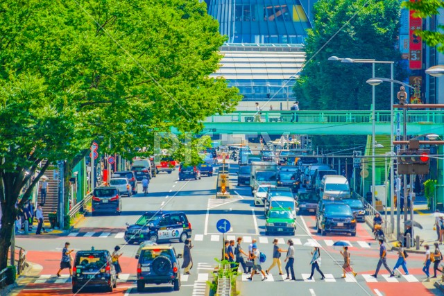 夏の渋谷の街