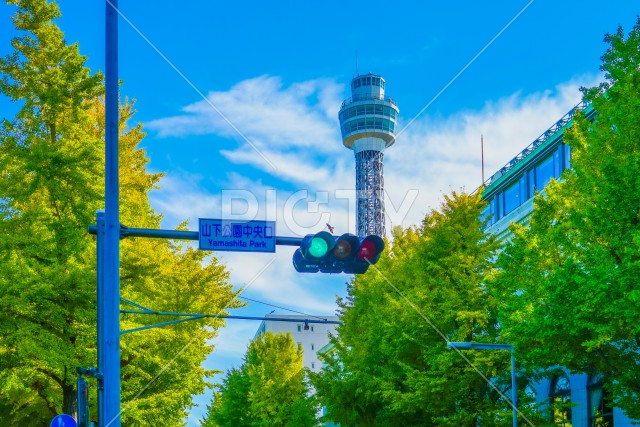 写真のタイトルが入ります