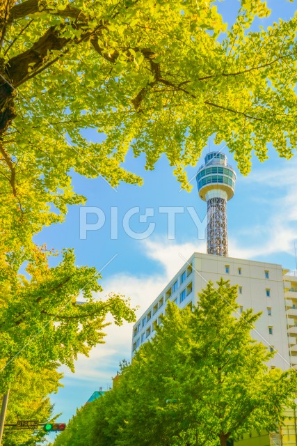 写真のタイトルが入ります