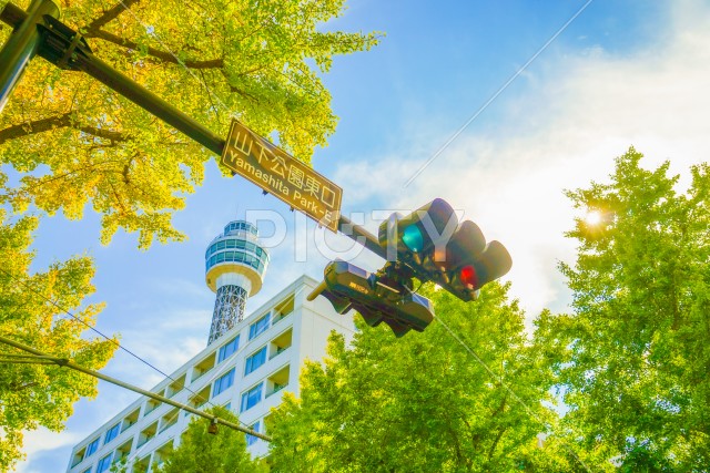 写真のタイトルが入ります