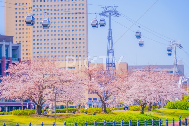 写真のタイトルが入ります