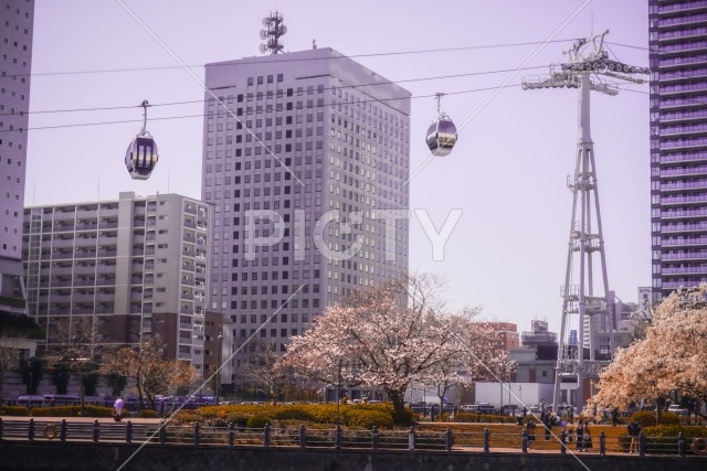 写真のタイトルが入ります