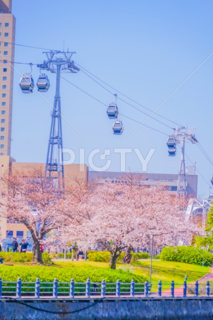 写真のタイトルが入ります