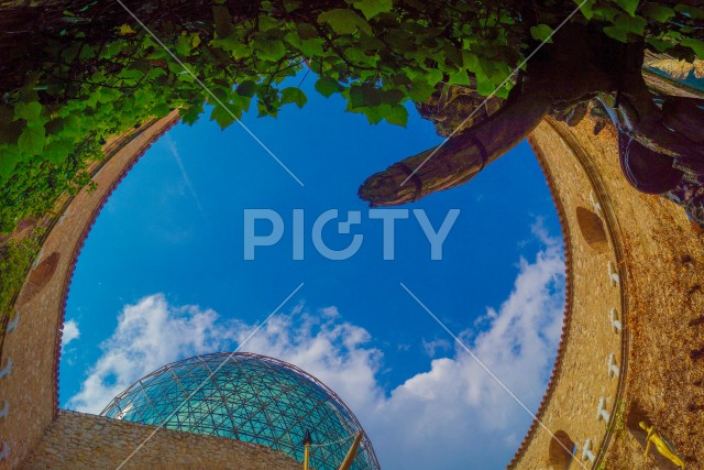 写真のタイトルが入ります