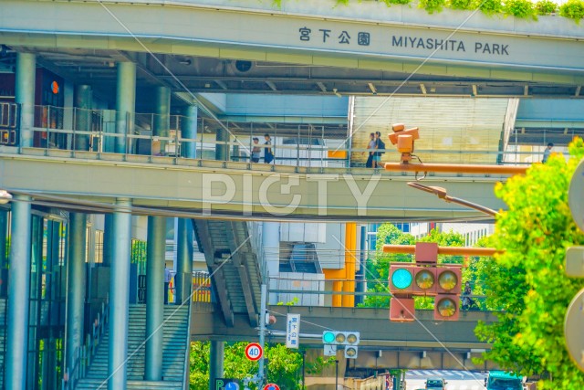 写真のタイトルが入ります