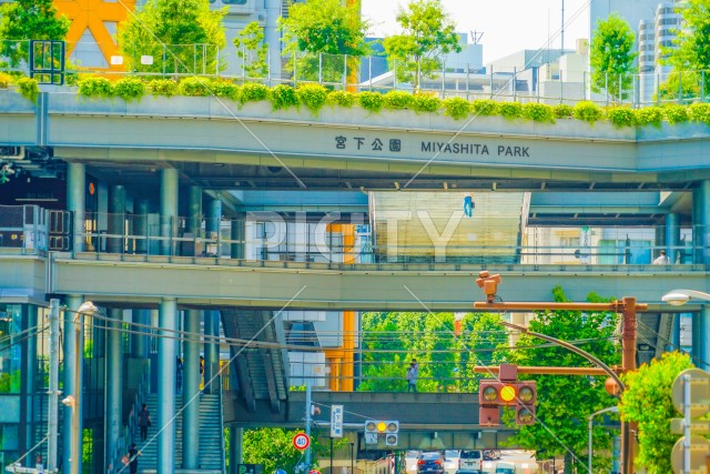 写真のタイトルが入ります
