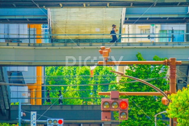 写真のタイトルが入ります