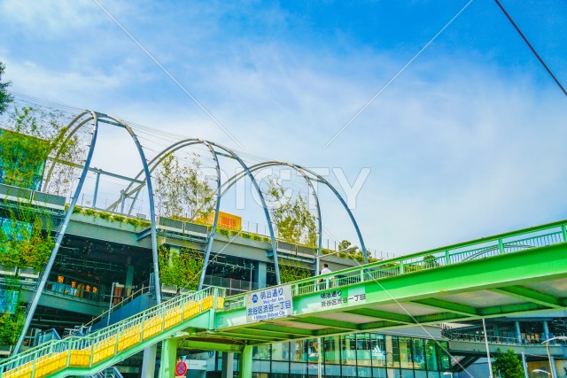 写真のタイトルが入ります